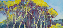 Fever Tree Forest, North Kruger | 2019 | Oil on Canvas | 44 x 62 cm
